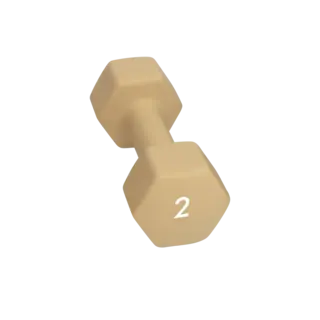 Abilica DumbBell 2 kg