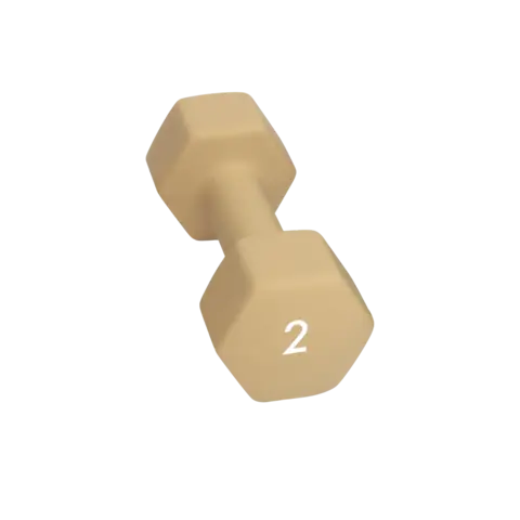 Abilica DumbBell 2 kg