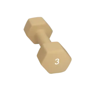 Abilica DumbBell 3 kg