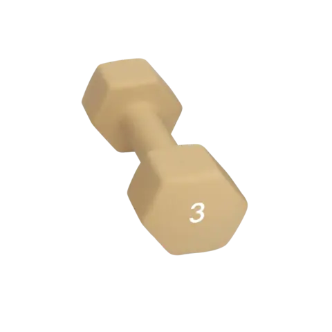Abilica DumbBell 3 kg