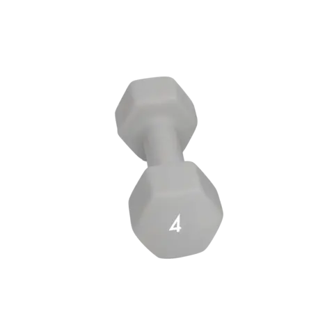 Abilica DumbBell 4 kg