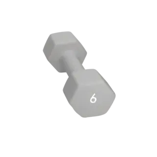 Abilica DumbBell 6 kg