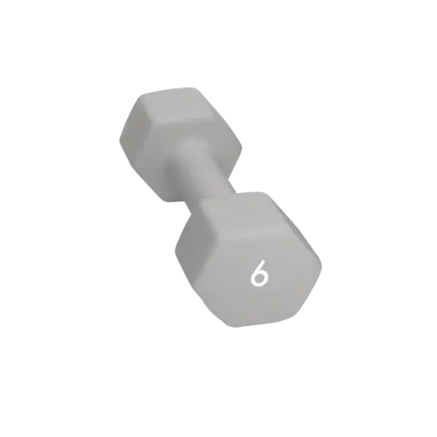 Abilica DumbBell 6 kg