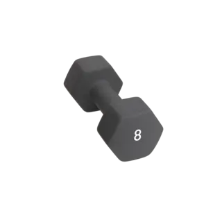 Abilica DumbBell 8 kg