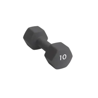 Abilica DumbBell 10 kg